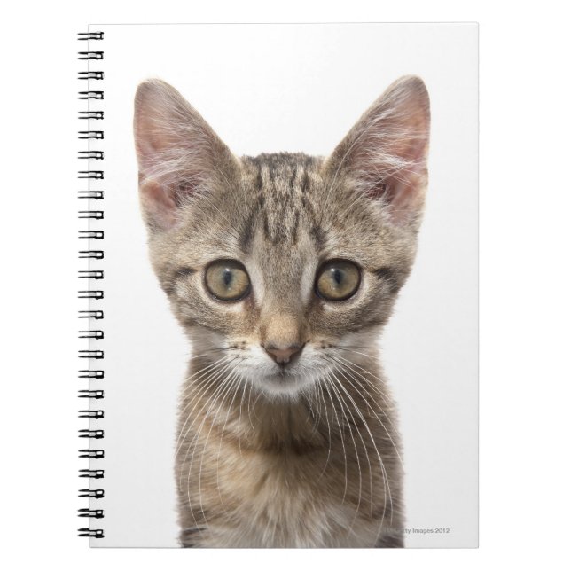 Caderno Espiral Gatinho listrado (Frente)