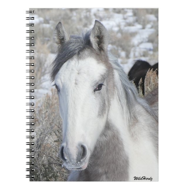 Caderno Espiral Gatinho Notebook (Frente)