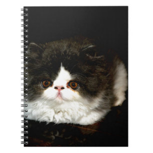 Caderno Espiral Gatinho preto e branco