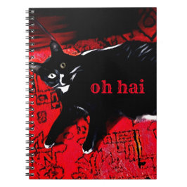 Caderno Espiral Gatinho Tuxedo no Red Rug