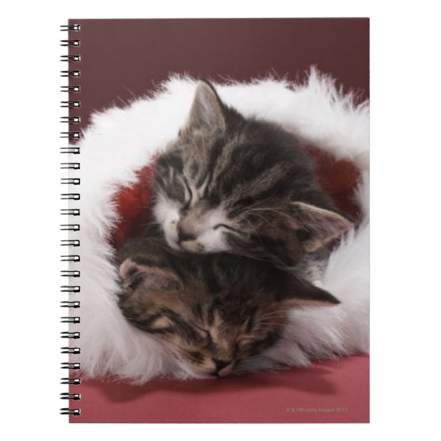 Caderno Espiral Gatinhos adormecidos junto no chapéu do Natal (Frente)