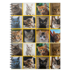 Caderno Espiral Gatinhos em Todo Lugar