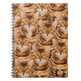 Caderno Espiral Gatinhos espectaculares de Bengal