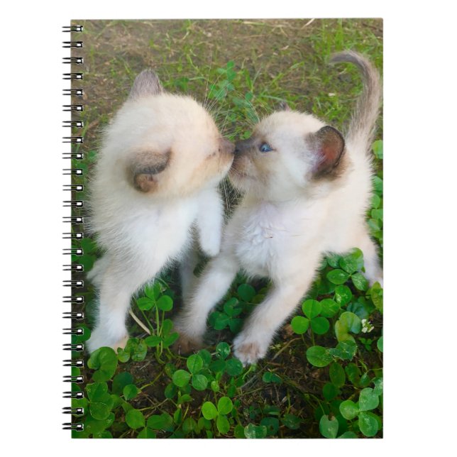 Caderno Espiral gatinhos se beijando no trevo (Frente)