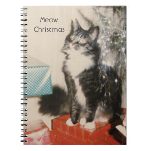 Caderno Espiral Gato Branco Cinza