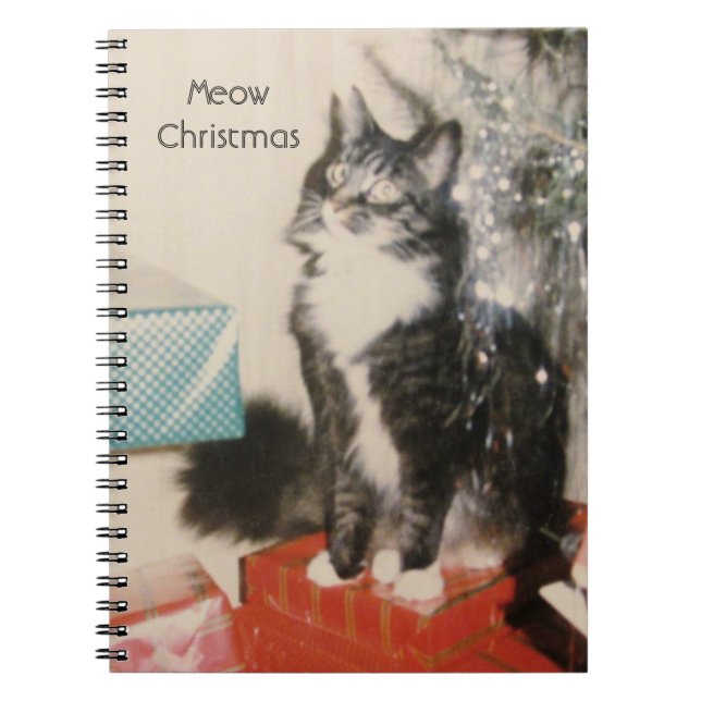 Caderno Espiral Gato Branco Cinza (Frente)