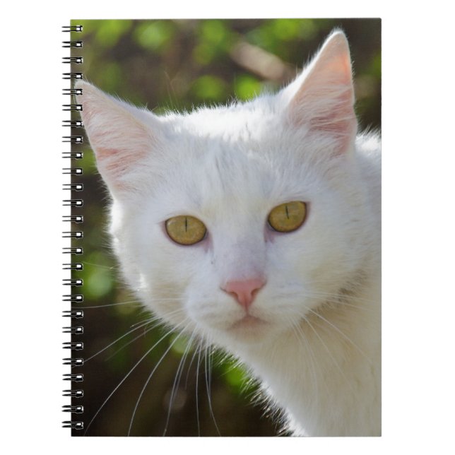 Caderno Espiral Gato Branco Com Olhos Amarelos (Frente)