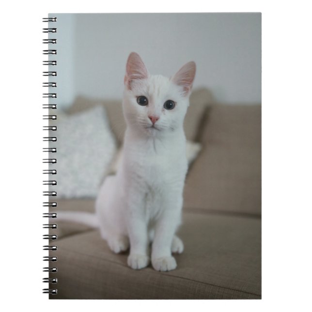 Caderno Espiral Gato branco | Zazzle_Growth. (Frente)