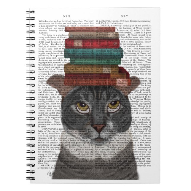 Caderno Espiral Gato cinza com Livros na Cabeça (Frente)
