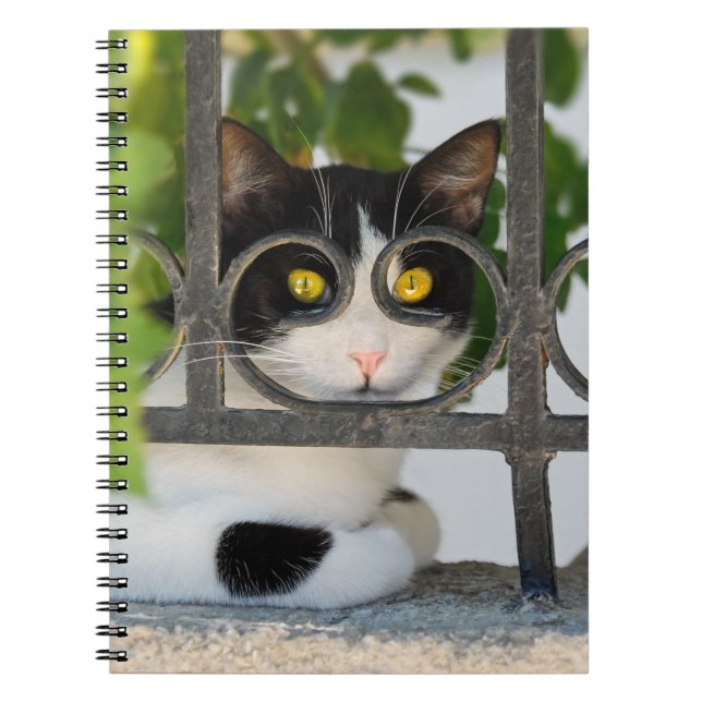 Caderno Espiral Gato curioso com óculos Fotografia engraçada (Frente)