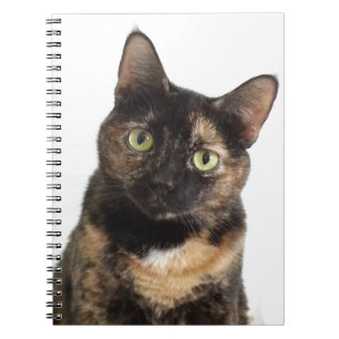 Caderno Espiral Gato da concha de tartaruga