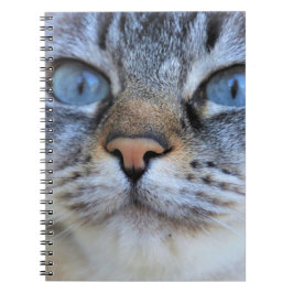 Caderno Espiral Gato de cinza
