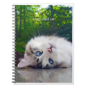 Caderno Espiral Gato de olhos cruzados