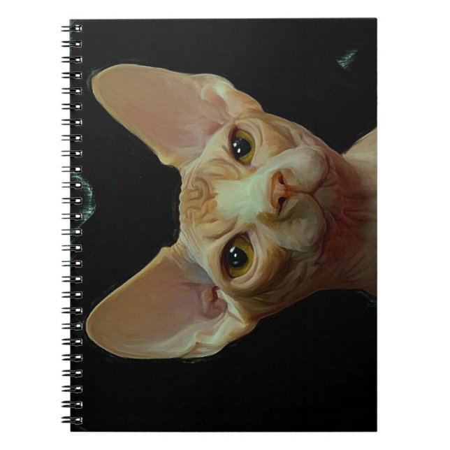 Caderno Espiral gato do sphynx (Frente)