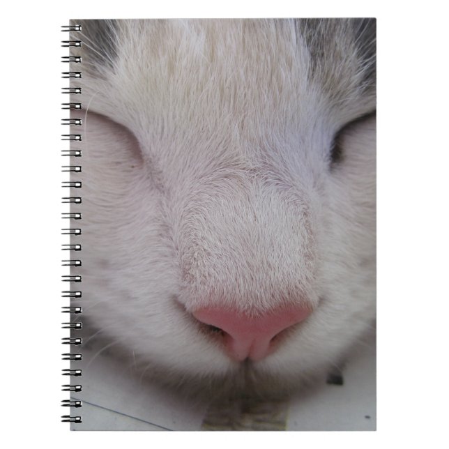 Caderno Espiral Gato Dormindo (Frente)