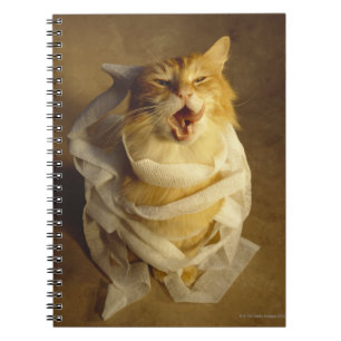 Caderno Espiral Gato envolvido na gaze médica