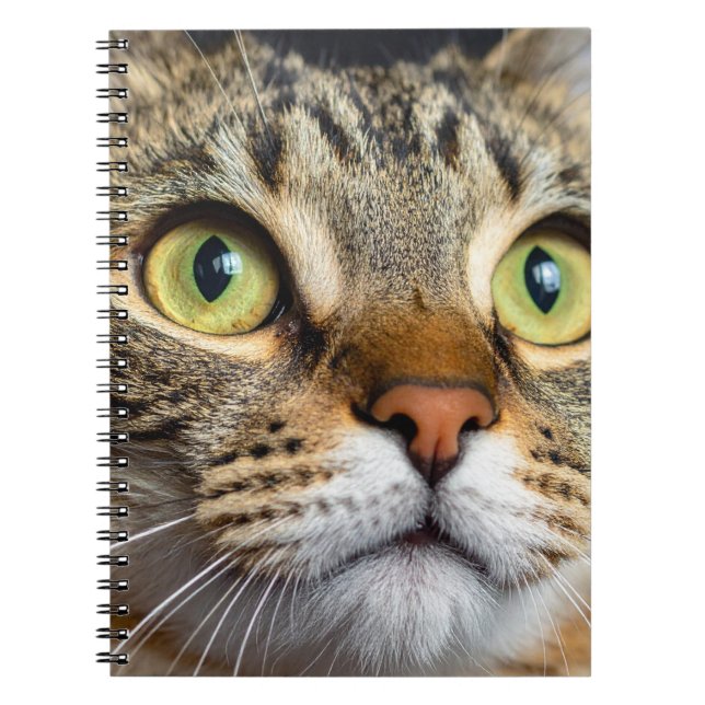 Caderno Espiral Gato fofo (Frente)