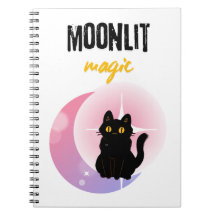 gato fofo e lua