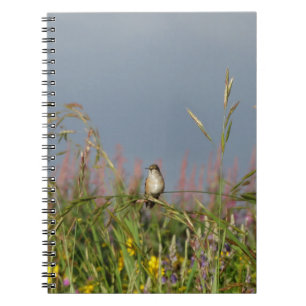 Caderno Espiral Gato-gordo