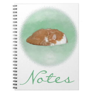 Caderno Espiral Gato Laranja Sonolento