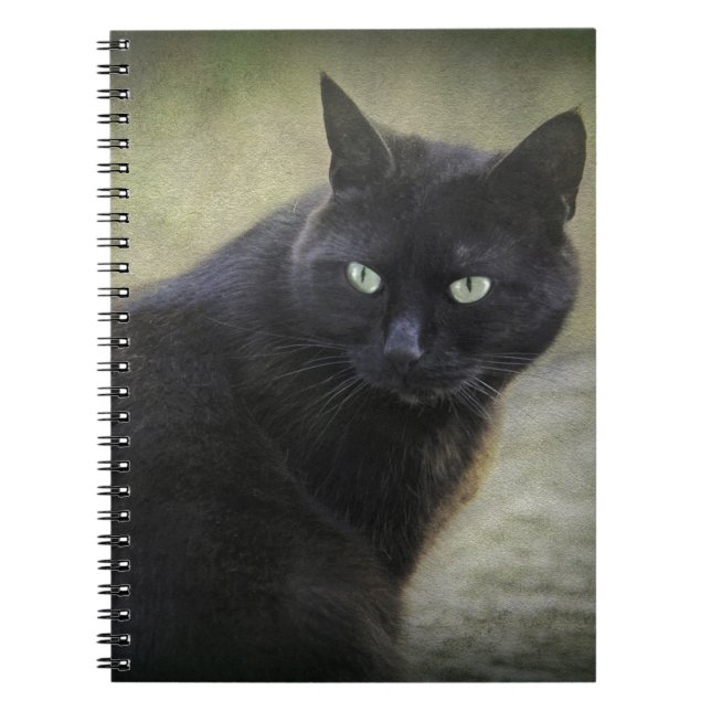 Caderno Espiral Gato macho negro com olhos verdes (Frente)