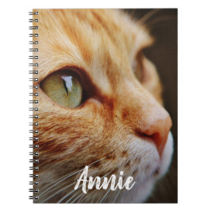 Caderno Espiral Gato malhado alaranjado com os olhos verdes feitos