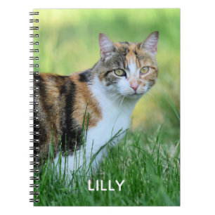 Caderno Espiral Gato marrom e branco