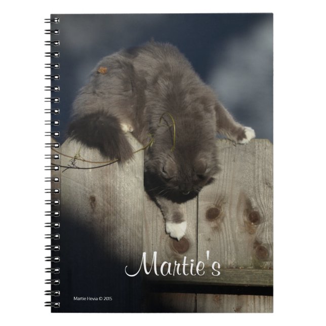 Caderno Espiral Gato na cerca (18) (Frente)