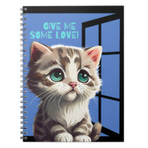 GATO NA COTAÇÃO DA JANELA