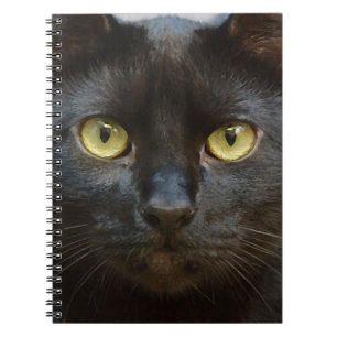 Caderno Espiral Gato negro