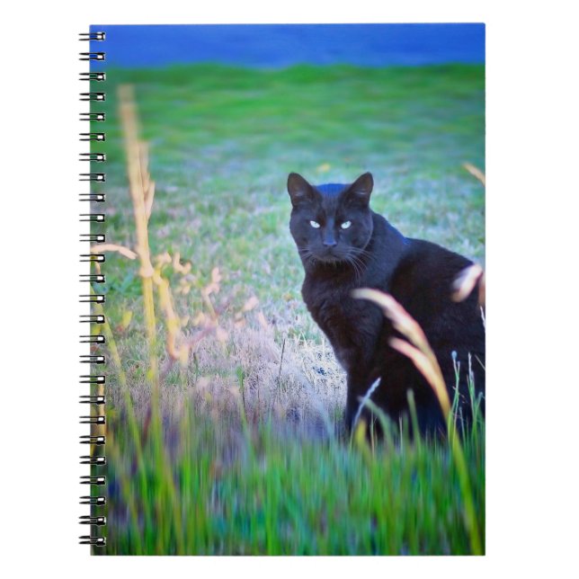 Caderno Espiral Gato Negro (Frente)