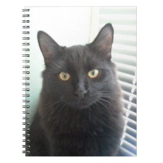 Caderno Espiral Gato preto