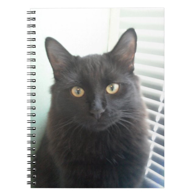 Caderno Espiral Gato preto (Frente)