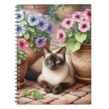 Gato Siames e Flores de Petúnia