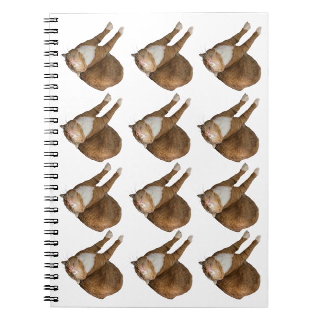 Caderno Espiral Gato Sol-de-Cabeça-para-Baixo (Frente)