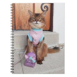 Caderno Espiral Gato somali de volta à escola com mochila pequena