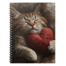 GATO TABBY DORMINDO FOFO COM TRAVESSEIRO DE CORAÇÃ