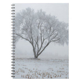 Caderno Espiral Geada Sobre uma Árvore Solitária