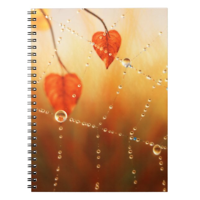 Caderno Espiral Gems de um notebook de manhã de outono (Frente)