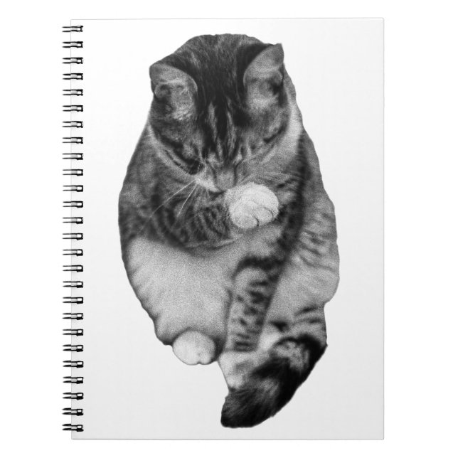 Caderno Espiral Gentle Hush Journal (Frente)