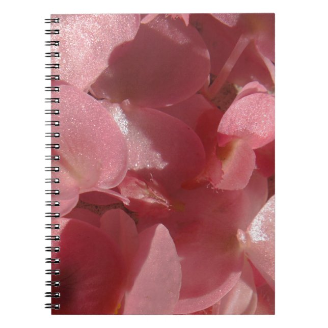 Caderno Espiral Gerânio rosa: quase Rosas claro sólidas (Frente)