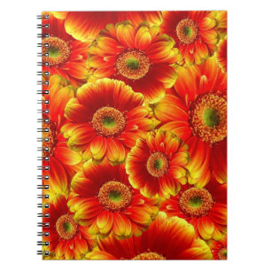 Caderno Espiral Gerbera Daisies Amarelo e Laranja