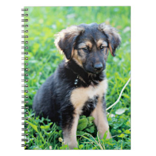 Caderno Espiral German shepherd