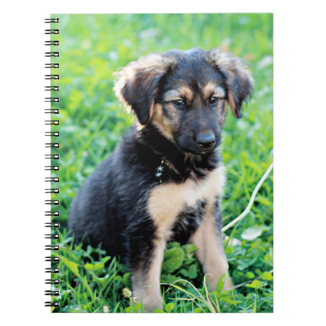 Caderno Espiral German shepherd (Frente)