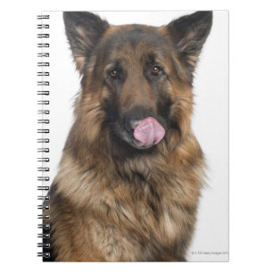Caderno Espiral German shepherd