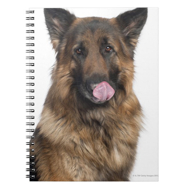 Caderno Espiral German shepherd (Frente)