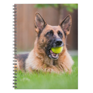 Caderno Espiral German shepherd Com Bola De Tênis