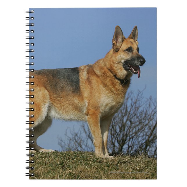 Caderno Espiral German shepherd de cabelos compridos 2 de Brown (Frente)