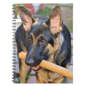 Caderno Espiral German shepherd de Shirley Taylor