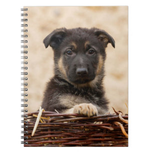 Caderno Espiral German shepherd Em Cesta